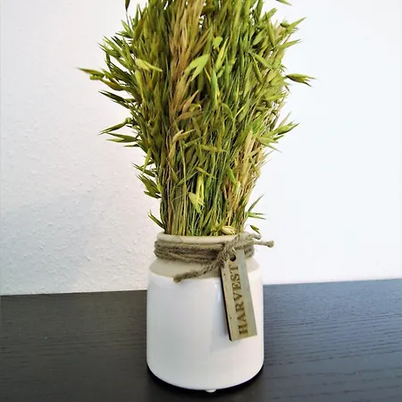 Work And Balcony Düsseldorf