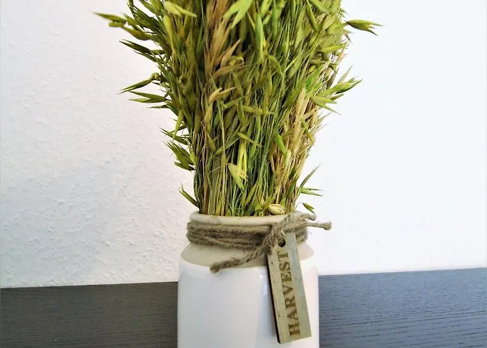 Work And Balcony 뒤셀도르프